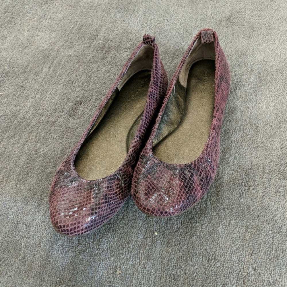 ✨Banana Republic✨ Ballet Flats Sz. 6